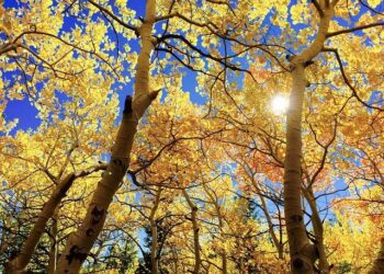 Air France Suspends Paris-Tel Aviv Flights Amid Ongoing Middle East Conflict