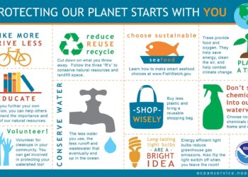 François Bayrou in Marseille: Rethinking the Future of Urban Transport and Infrastructure Funding