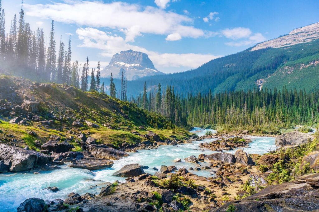 James Bridle: How Nature Sparks Technological Innovation
