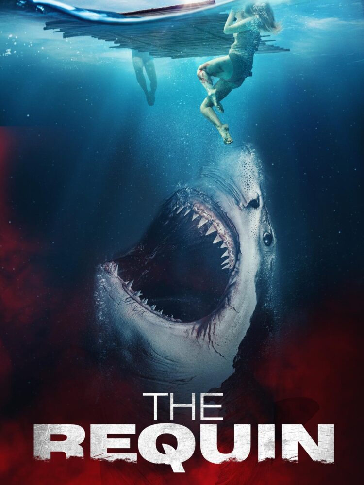 Étonnant : Un Requin Fait Son Apparition au Port de Nice !