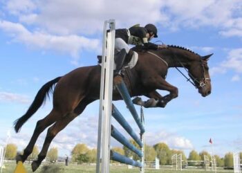 Discover the Excitement of Equestrian Sports at Le Printemps des Sports Équestres in Île-de-France!