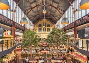 Unlocking Opportunities: How the V.I.E Program Bridges Talents and Businesses in China