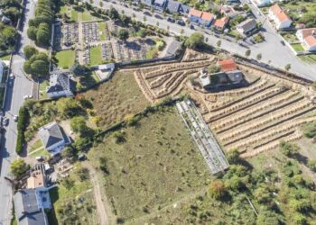 À Nantes, une ferme innovante se met au service des habitants des HLM avec des légumes bio !