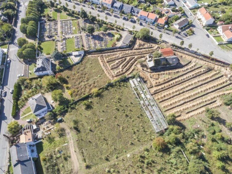 À Nantes, une ferme innovante se met au service des habitants des HLM avec des légumes bio !