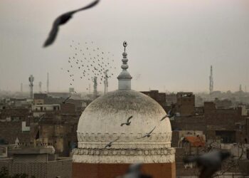 Retailleau Warns: Muslim Brotherhood Aims to Shift France Towards Sharia Law