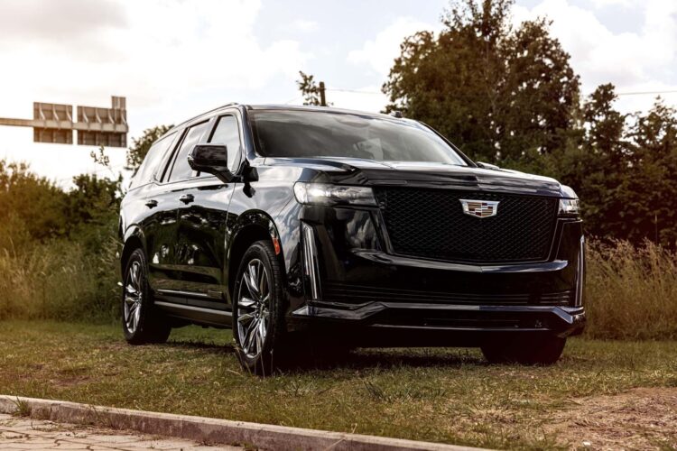 Escalade, match et roller hockey : découvrez le programme excitant du week-end spécial Tour de France à Toulouse