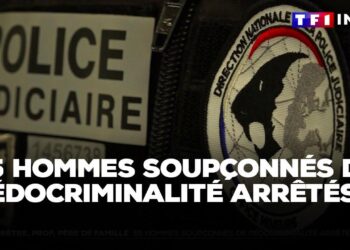 Telegram and Child Exploitation: 55 Men Arrested in France