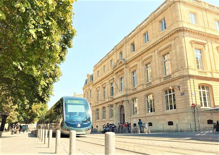 Bordeaux : LFI dévoile ses deux leaders pour les prochaines élections municipales