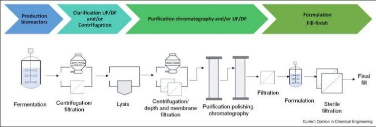 Vietnam et France unissent leurs forces pour révolutionner la production de vaccins grâce au transfert de technologie