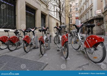Lyon : Comment les écologistes propulsent le vélo pour défier la voiture