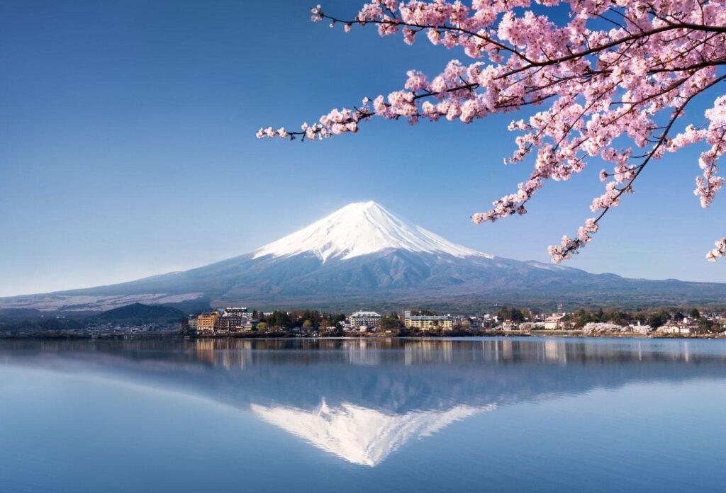 Inside Japan’s Thriving Juan Donation Business – Watch the Full Report