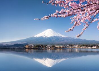 Inside Japan’s Thriving Juan Donation Business – Watch the Full Report