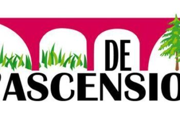 Pont de l’Ascension en Île-de-France : Comment Échapper aux Bouchons Malgré l’Alerte Rouge de Bison Futé ?