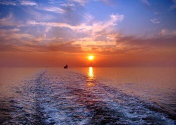 Découvrez La Baleine au Sommet de l’Océan à Nice : Gratuit et Ouvert à Tous du 2 au 13 Juin 2025 !