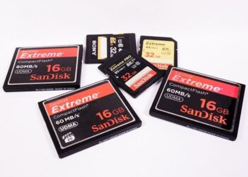 Un investissement de 17 M€ pourrait sauver un trésor français en péril