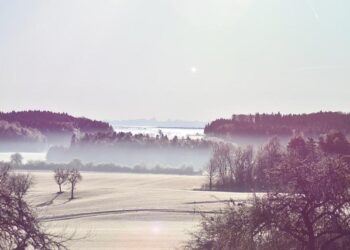 À Marseille-Fos, les dockers refusent de charger des composants militaires destinés à Israël