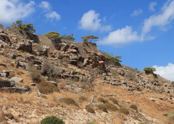 Lèpre : une maladie qui circulait déjà il y a 1 000 ans, du Canada à l’Argentine