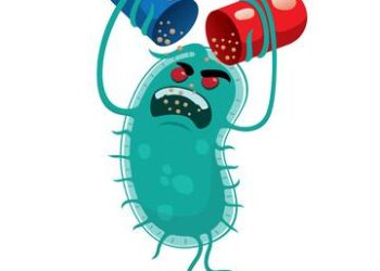 Adopting a “One Health” Approach to Combat Antibiotic Resistance in France