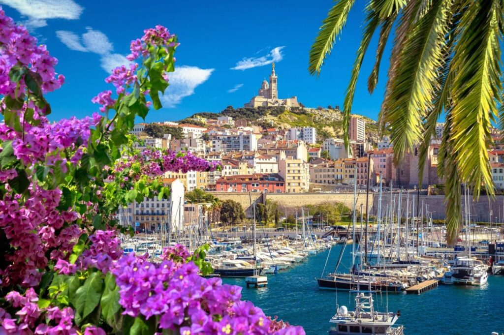 Découvrez à quoi ressemble le tout premier TER de France ouvert à la concurrence à Marseille !