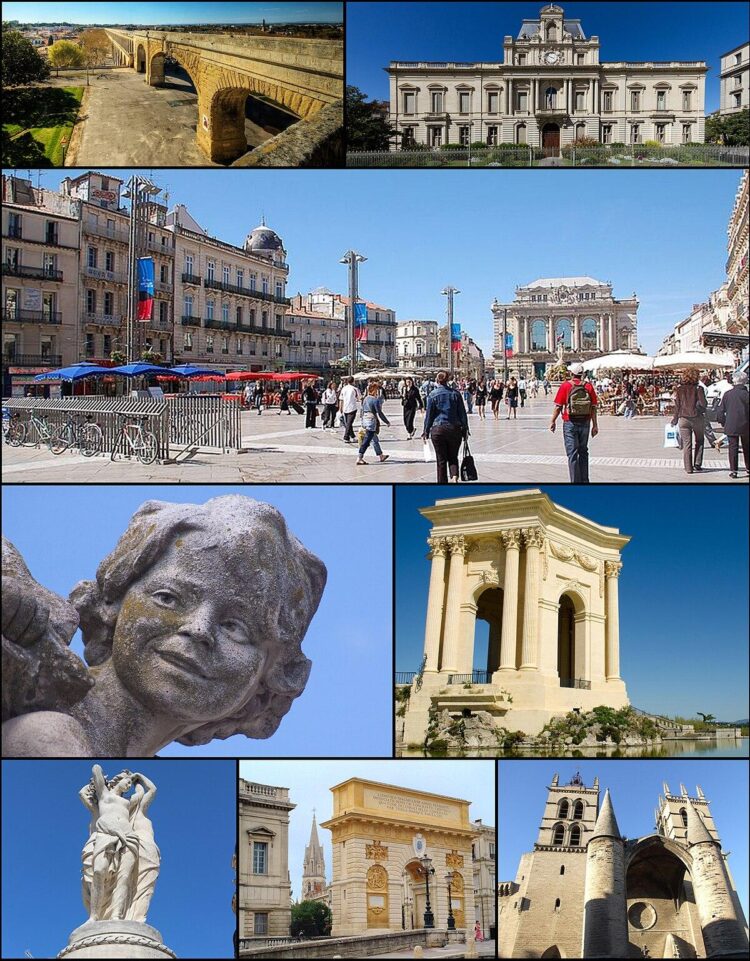 Montpellier, 6e ville de France : des commerces de proximité qui cartonnent ! Montpellier, 6e ville de France : des commerces de proximité qui cartonnent !