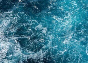 Un sommet à Nice pour sauver nos océans : quels enjeux vraiment ?