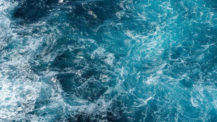 Un sommet à Nice pour sauver nos océans : quels enjeux vraiment ? Un sommet à Nice pour sauver nos océans : quels enjeux vraiment ?