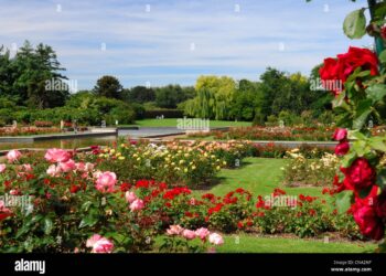 Découvrez les meilleures activités à Lille et dans le Nord – Pas-de-Calais ce samedi 7 juin : jardins, tatouages, balades et plus encore !