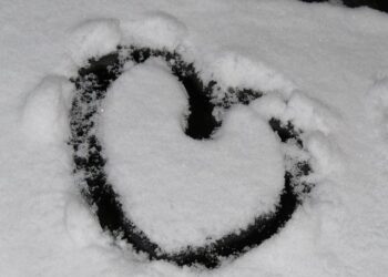 Joël Poirier nommé Business Director Health & Medical pour la France et l’Afrique du Nord chez Essity