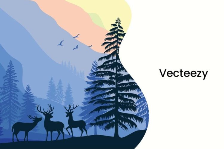 Guerre à Gaza : le ministère des Armées dément tout transfert d’armes à Israël après le refus des dockers de Marseille-Fos de charger du matériel militaire Guerre à Gaza : le ministère des Armées dément tout transfert d’armes à Israël après le refus des dockers de Marseille-Fos de charger du matériel militaire