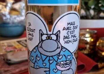 Canicule à Paris : quel record de chaleur a-t-on déjà atteint en juin ?