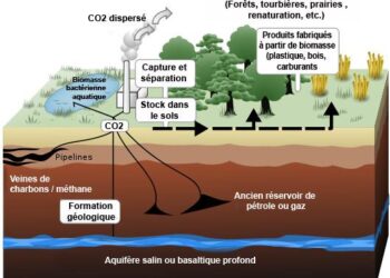 Booster le déploiement de la capture, du stockage et de la valorisation du carbone (CCUS) en France