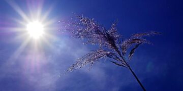 France Sizzles Under Intense June 20 Heatwave
