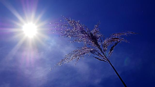 France Sizzles Under Intense June 20 Heatwave
