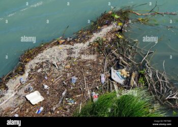 Lyon Takes a Bold Stand Against Pollution: Cars Banned from the City Center