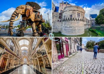 Step Inside Nantes’ Most Unique Bar and Experience a One-of-a-Kind Concept!