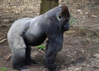 Top Must-See Highlights of Summer 2025: What You Can’t Miss!