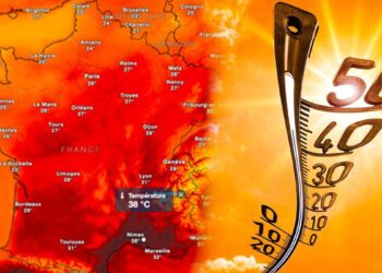 Lyon en alerte : le Rhône confronté à une intense vague de chaleur