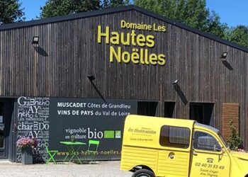 Le domaine des Hautes-Noëlles près de Nantes révolutionne l’élevage du vin en amphores