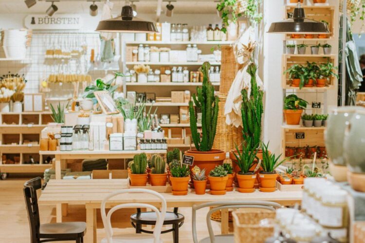 « J’ose y croire » : Dille & Kamille ouvre son tout premier magasin en France à Nantes