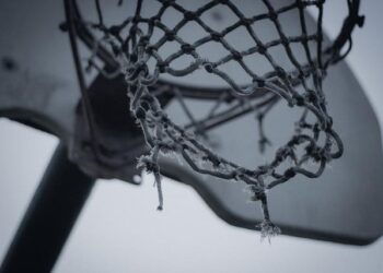 Monaco s’incline à Paris (99-93) et voit son rêve de troisième titre de champion de France s’envoler