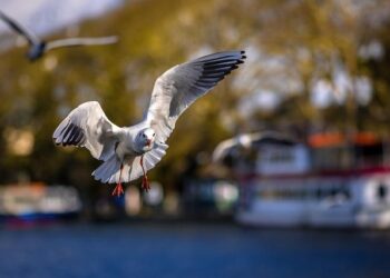 Thousands Rally in France to Expose the Deadly « War Economy » Behind the Bourget Airshow