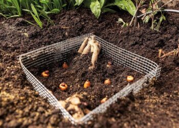 Vol de câbles sur les voies à Lille : le trafic TGV reprend normalement dès 14 heures  —  Trafic TGV à Lille : reprise normale dès 14 heures après un vol de câbles