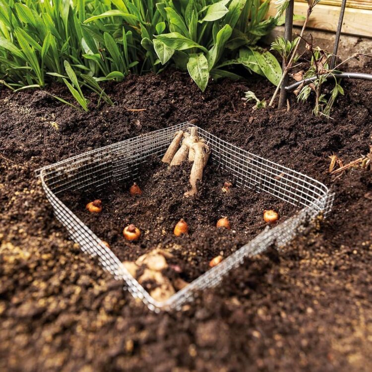 Vol de câbles sur les voies à Lille : le trafic TGV reprend normalement dès 14 heures  —  Trafic TGV à Lille : reprise normale dès 14 heures après un vol de câbles