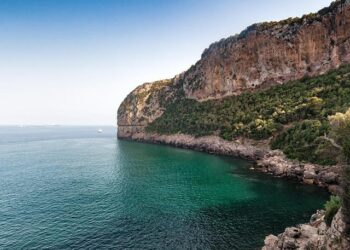 Algérie : quand les tensions avec la France freinent la croissance des affaires