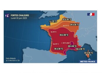 Canicules : la SNCF suspend ses trains entre Bordeaux, Toulouse et Marseille