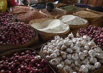 Quand politique et business se mêlent : plongée au cœur du dernier « Cash Investigation »