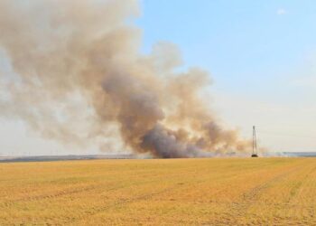 Canicule : 73 départements en alerte orange ce dimanche, vigilance maximale recommandée Canicule : 73 départements en alerte orange ce dimanche, vigilance maximale recommandée