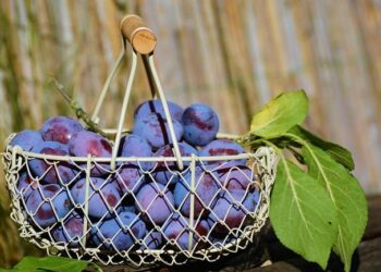 France vs Italie : à quelle heure et sur quelle chaîne suivre la petite finale de l’Euro féminin de basket ?