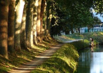 Toulouse : Découvrez pourquoi elle est la 6ème destination incontournable de France cet été !