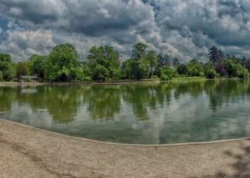 Didier Boulogne : Pourquoi les entreprises doivent totalement repenser leurs stratégies d’exportation